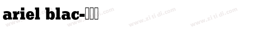 ariel blac字体转换
